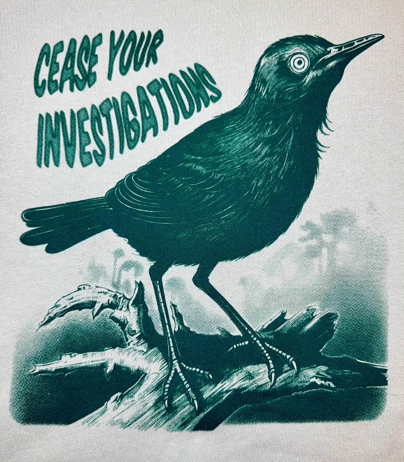 Cease Your Bird HOODED SWEATSHIRT