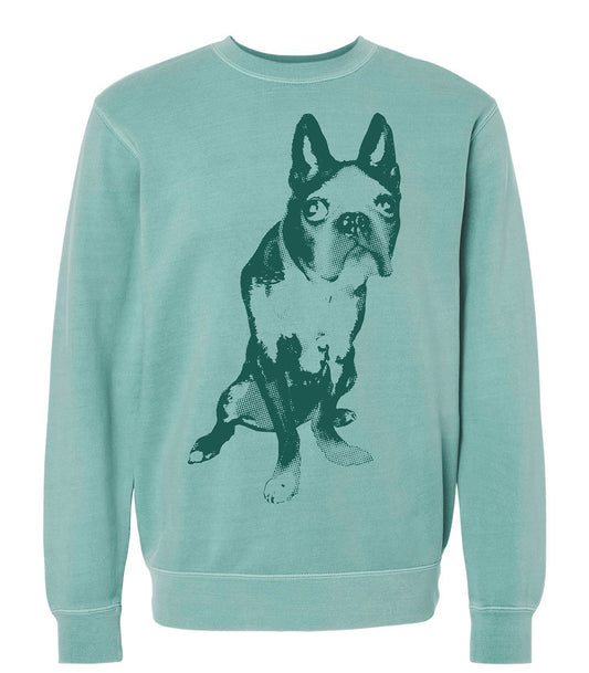 Buggy Boston Crewneck Sweatshirt
