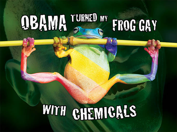 Obama Turned My Frog Gay Poster! (18X24")